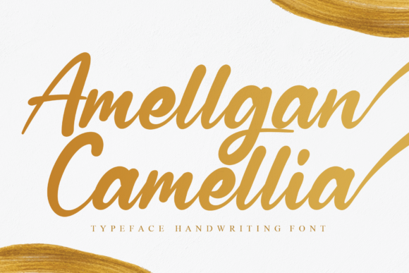 Amellgan Camellia: A Handwritten Font for Better Branding