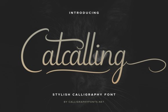 Catcalling Font: A Handwritten Typeface for Makers