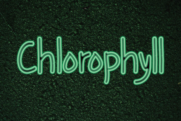 Chlorophyll: A Quirky Handwritten Font for Crafters