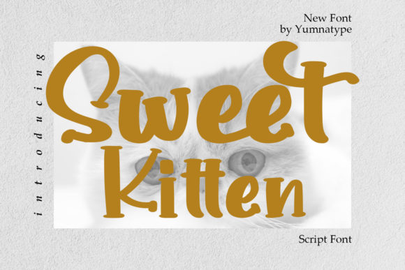 Sweet Kitten: A Bold Handwritten Font for Small Business Branding